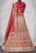 Picture of Amazing Net Fire Brick Lehenga Choli