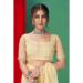 Picture of Nice Organza Burly Wood Saree