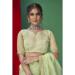 Picture of Pleasing Organza Dark Khaki Saree