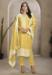 Picture of Wonderful Organza Khaki Straight Cut Salwar Kameez