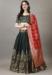 Picture of Lovely Silk Sea Green Lehenga Choli