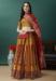 Picture of Pleasing Silk Sienna Lehenga Choli