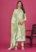 Picture of Organza Dark Khaki Straight Cut Salwar Kameez