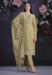 Picture of Fascinating Organza Beige Straight Cut Salwar Kameez