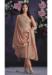 Picture of Organza Burly Wood Straight Cut Salwar Kameez