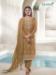 Picture of Silk & Organza Sienna Straight Cut Salwar Kameez