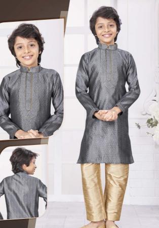 Picture of Graceful Silk Light Slate Grey Kurtas