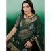 Picture of Exquisite Organza Sea Green Saree