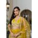 Picture of Resplendent Net Dark Golden Rod Lehenga Choli