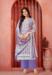 Picture of Cotton Light Slate Grey Straight Cut Salwar Kameez