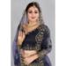 Picture of Resplendent Net Midnight Blue Lehenga Choli