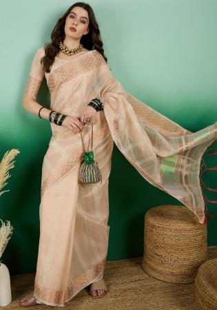 Picture of Admirable Organza Tan Saree