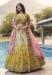 Picture of Sightly Silk & Organza Khaki Lehenga Choli