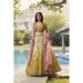 Picture of Sightly Silk & Organza Khaki Lehenga Choli