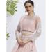 Picture of Elegant Net Thistle Lehenga Choli