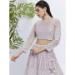 Picture of Ideal Net Thistle Lehenga Choli