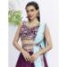 Picture of Splendid Net Brown Lehenga Choli