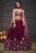 Picture of Shapely Chiffon & Net Brown Lehenga Choli