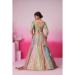 Picture of Lovely Georgette & Satin & Silk Tan Lehenga Choli