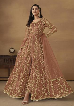 Picture of Delightful Net Sienna Anarkali Salwar Kameez