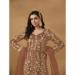 Picture of Delightful Net Sienna Anarkali Salwar Kameez