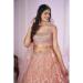 Picture of Stunning Georgette & Net Pink Lehenga Choli