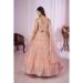 Picture of Stunning Georgette & Net Pink Lehenga Choli