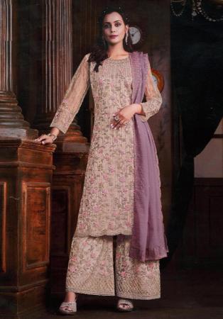 Picture of Superb Net Grey Straight Cut Salwar Kameez