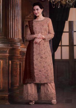 Picture of Nice Net Tan Straight Cut Salwar Kameez