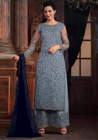 Picture of Net Light Slate Grey Straight Cut Salwar Kameez