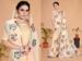 Picture of Superb Georgette & Net Bisque Saree