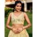 Picture of Good Looking Net Pale Golden Rod Lehenga Choli