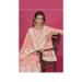 Picture of Organza Light Coral Straight Cut Salwar Kameez