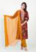 Picture of Enticing Cotton Maroon Readymade Salwar Kameez