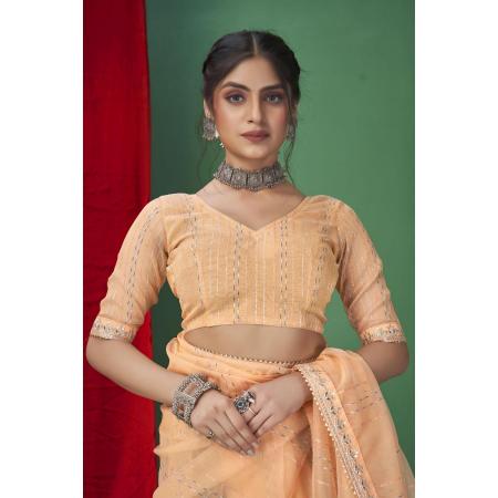 Picture of Beautiful Organza Sandy Brown Saree