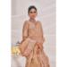 Picture of Exquisite Silk Tan Saree