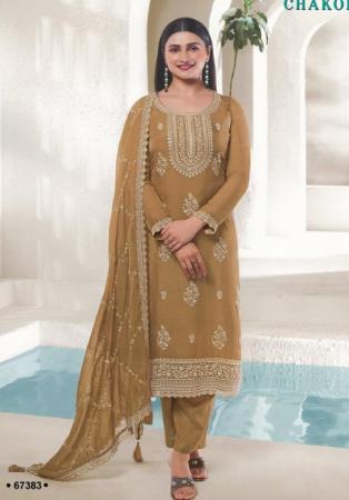 Picture of Silk & Organza Sienna Straight Cut Salwar Kameez