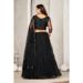 Picture of Pretty Net Black Lehenga Choli