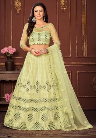 Picture of Marvelous Net Pale Golden Rod Lehenga Choli