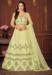 Picture of Marvelous Net Pale Golden Rod Lehenga Choli