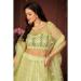 Picture of Marvelous Net Pale Golden Rod Lehenga Choli