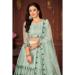 Picture of Marvelous Net Powder Blue Lehenga Choli