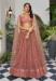 Picture of Delightful Net Indian Red Lehenga Choli