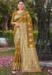 Picture of Gorgeous Silk Saddle Brown Saree