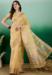 Picture of Ideal Organza Pale Green Saree