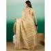 Picture of Ideal Organza Pale Green Saree