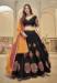 Picture of Elegant Georgette Black Lehenga Choli