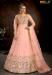 Picture of Alluring Net Wheat Anarkali Salwar Kameez