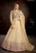 Picture of Delightful Net Burly Wood Anarkali Salwar Kameez