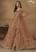 Picture of Elegant Net Sienna Anarkali Salwar Kameez